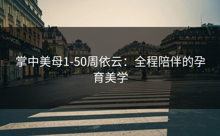 掌中美母1-50周依云:全程陪伴的孕育美学 掌中美母1-50周依云:全程陪伴的孕育美学