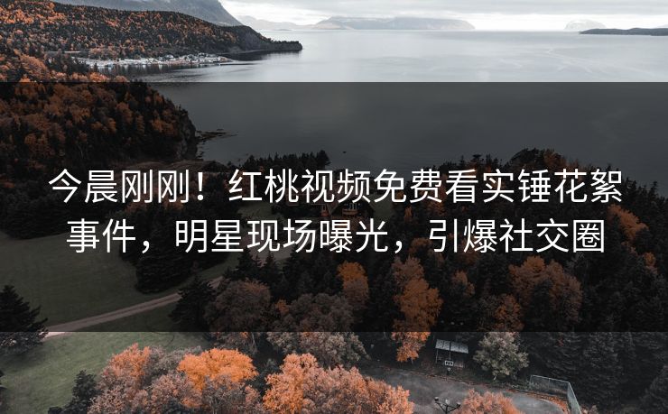 今晨刚刚！红桃视频免费看实锤花絮事件，明星现场曝光，引爆社交圈