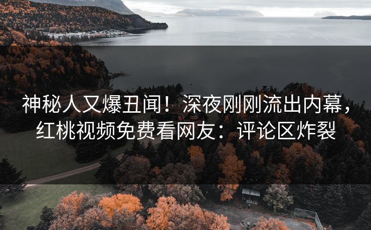 神秘人又爆丑闻！深夜刚刚流出内幕，红桃视频免费看网友：评论区炸裂