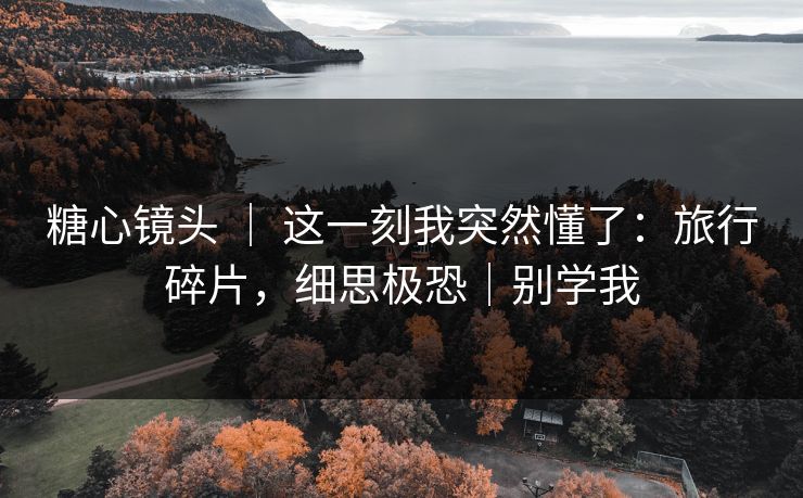 糖心镜头 ｜ 这一刻我突然懂了：旅行碎片，细思极恐｜别学我